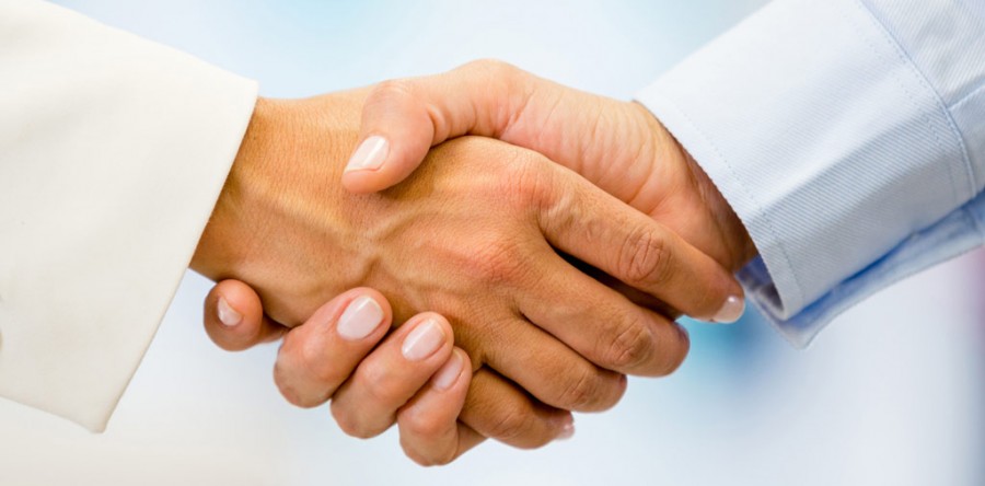 Dapibus pretium nunc eu sem vitae lacus laoreet elementum nulla facilisi